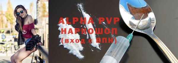 гидра Абаза