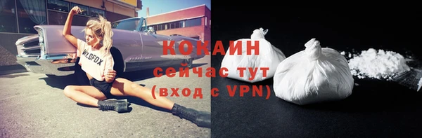 гидра Абаза