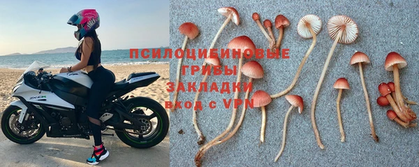 гидра Абаза