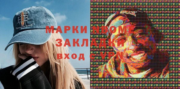 ECSTASY Пересвет