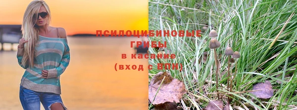 гидра Абаза