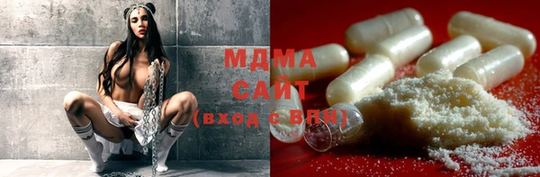 гидра Абаза