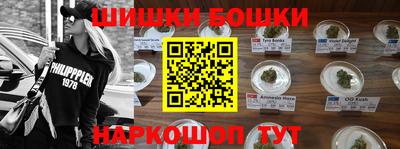 PSILOCYBIN Заводоуковск
