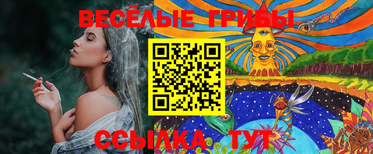 Псилоцибиновые грибы GOLDEN TEACHER  Вход с VPN  Лосино-Петровский 