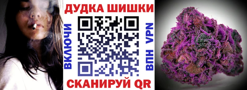 Марихуана ГИДРОПОН  продажа наркотиков  darknet официальный сайт  Лосино-Петровский 